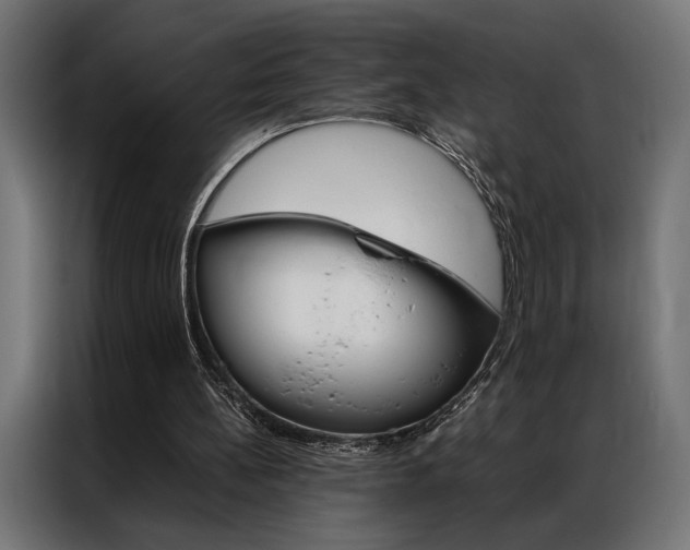 X0000086940148200704161042