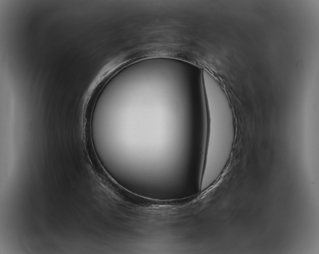 X0000086940150200704161042