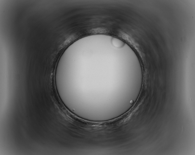 X0000086940153200704161042