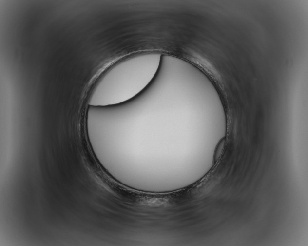 X0000086940155200704161043