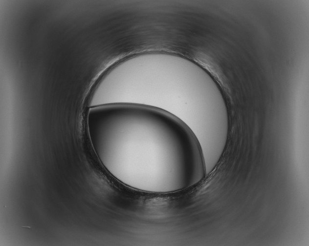 X0000086940156200704161043