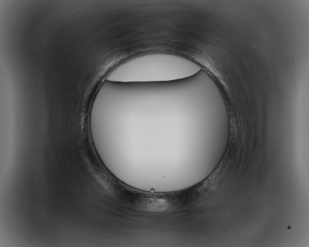 X0000086940159200704161043