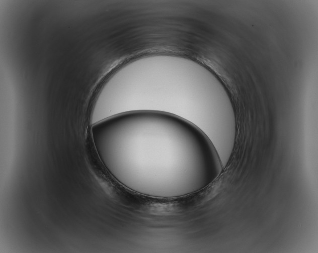 X0000086940160200704161043