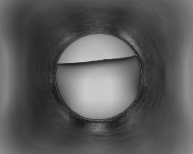 X0000086940161200704161043