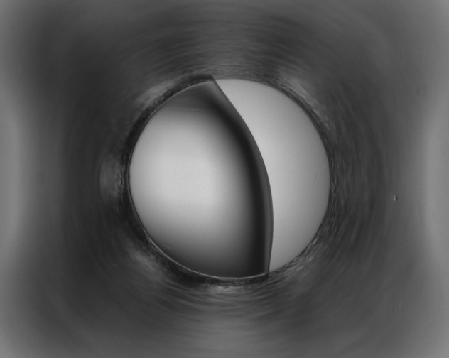 X0000086940164200704161043