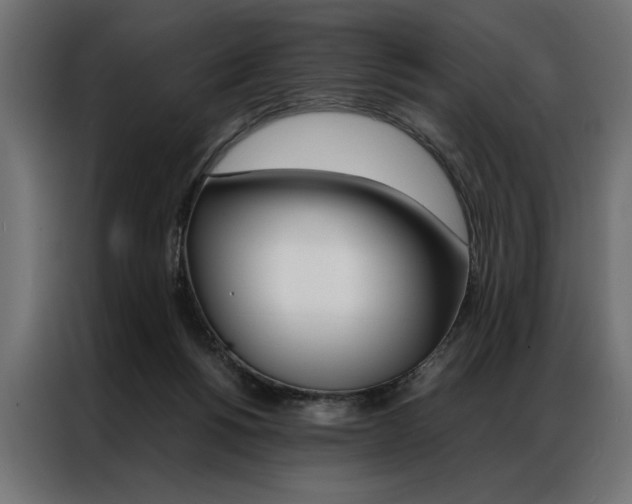 X0000086940168200704161043