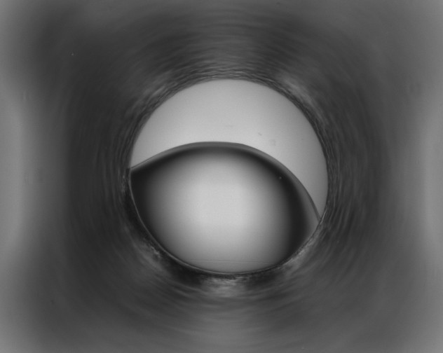 X0000086940170200704161043