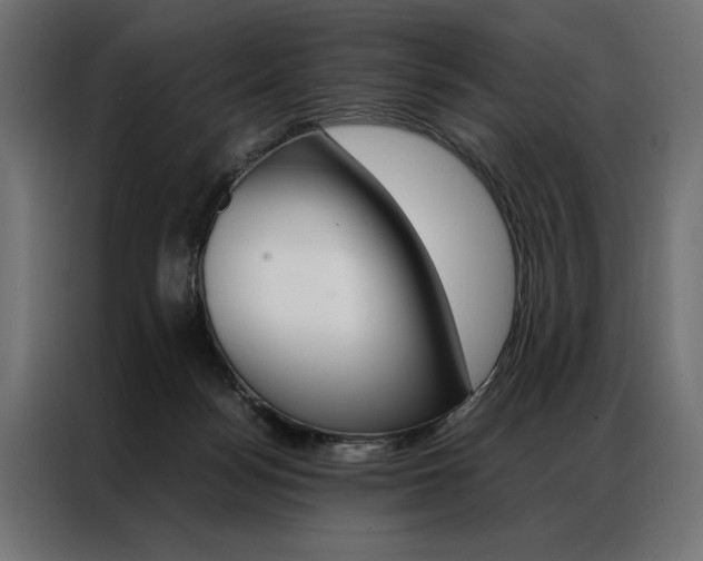 X0000086940172200704161043