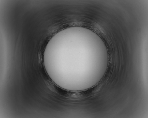 X0000086940173200704161043