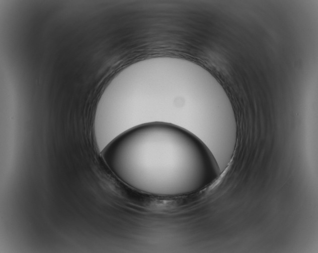 X0000086940174200704161043