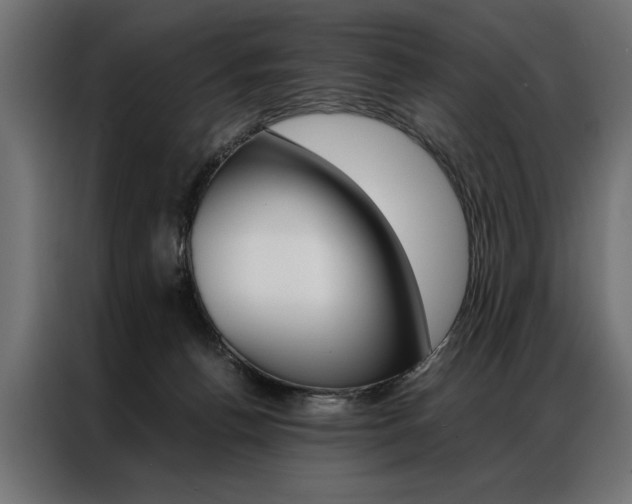 X0000086940176200704161043