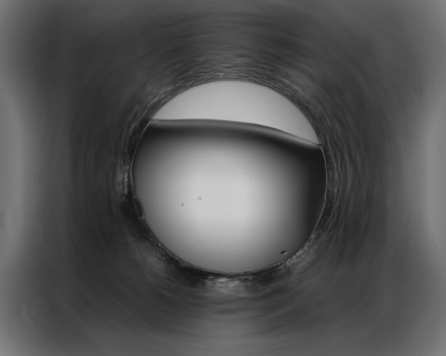 X0000086940180200704161043