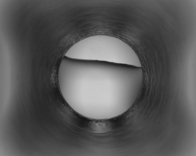 X0000086940181200704161043