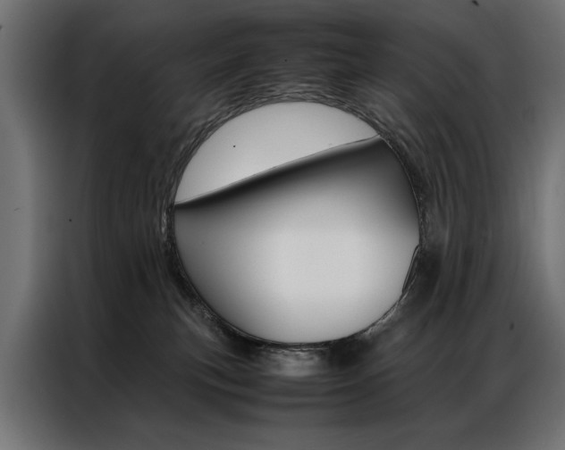 X0000086940183200704161043