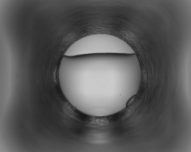 X0000086940185200704161043