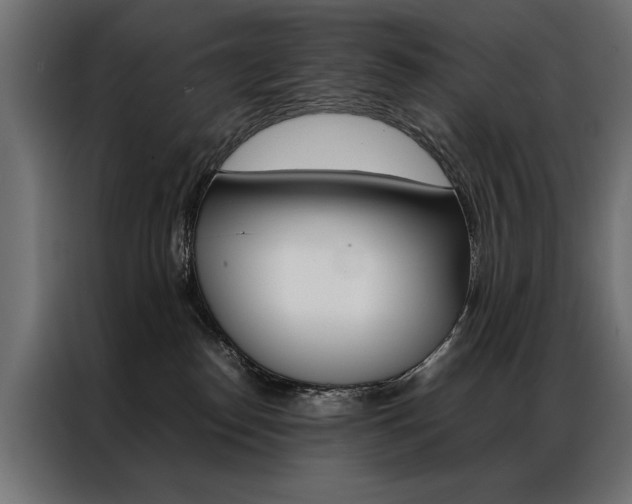 X0000086940186200704161043