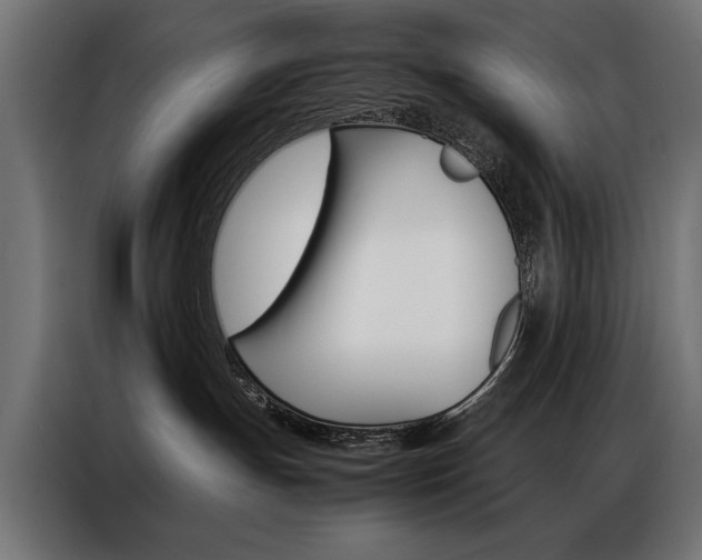X0000086940191200704161043