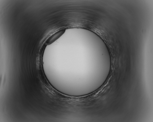 X0000086940194200704161042