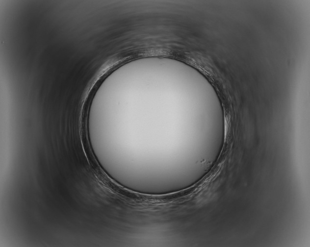 X0000086940195200704161042