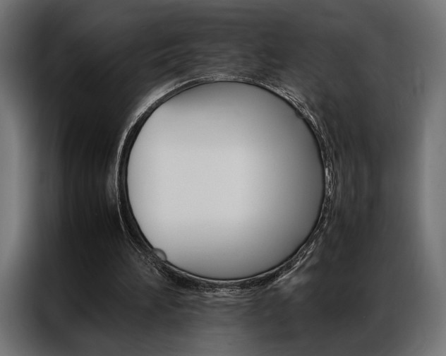X0000086940196200704161042