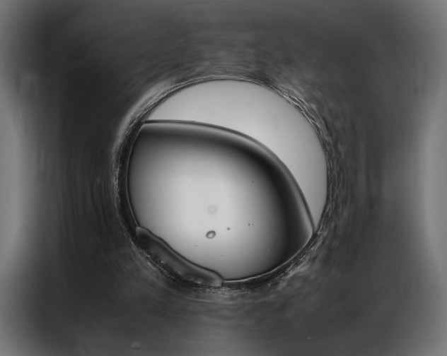 X0000086940197200704161042