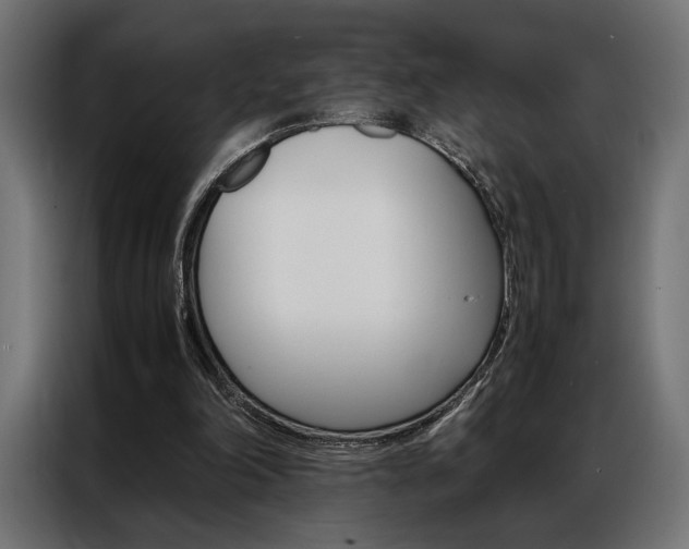 X0000086940198200704161042