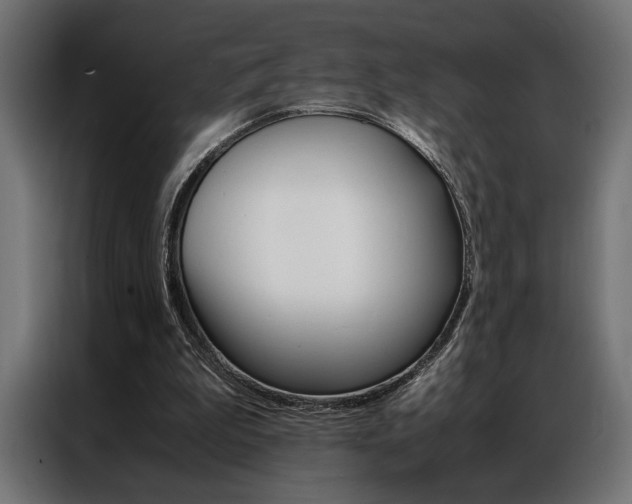 X0000086940199200704161042