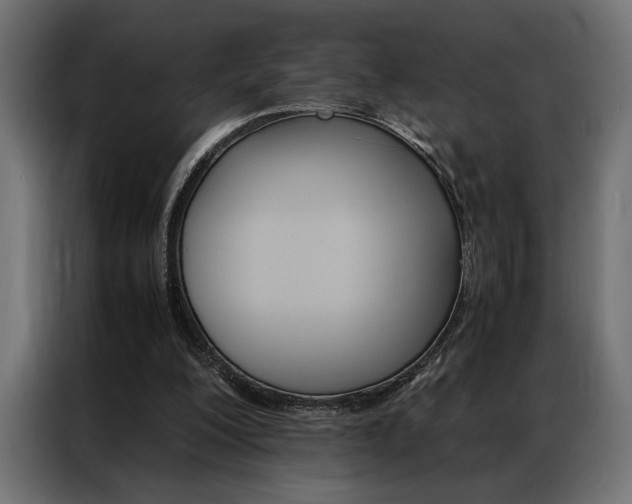 X0000086940200200704161042