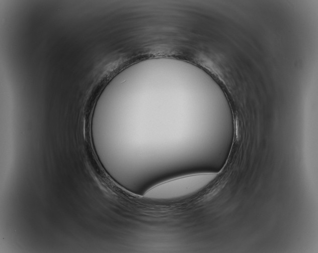X0000086940205200704161042