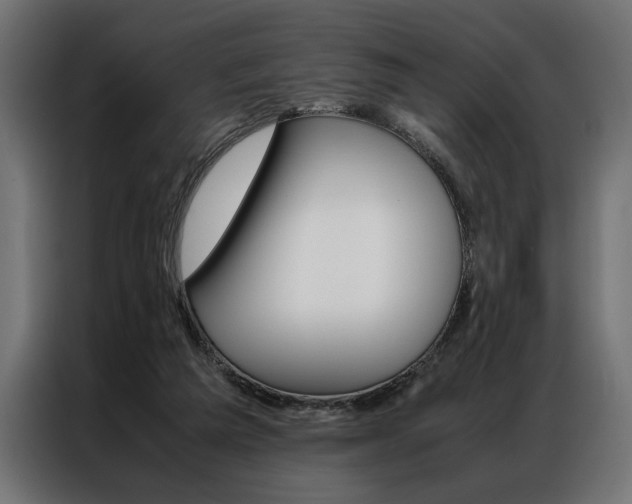 X0000086940209200704161042