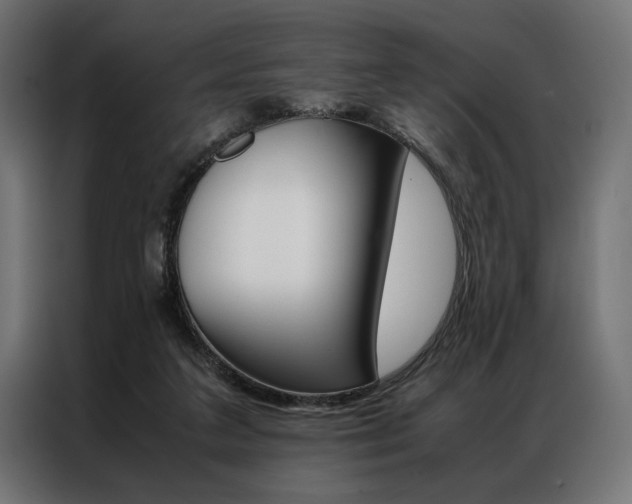 X0000086940211200704161042