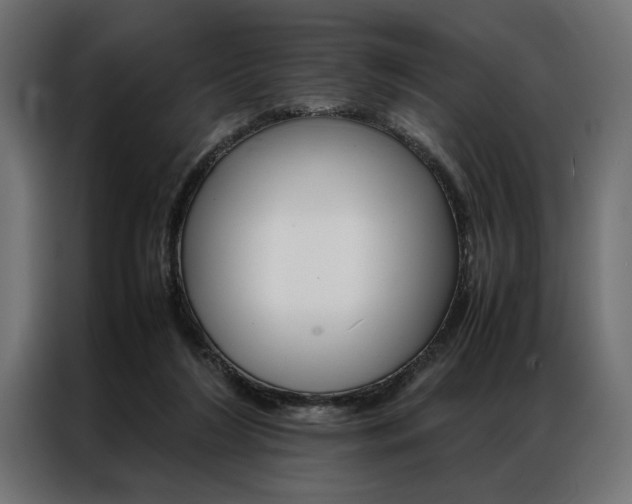 X0000086940212200704161042