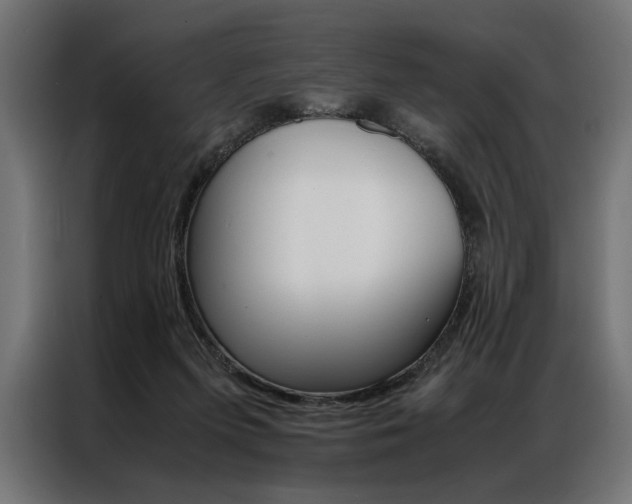 X0000086940215200704161042