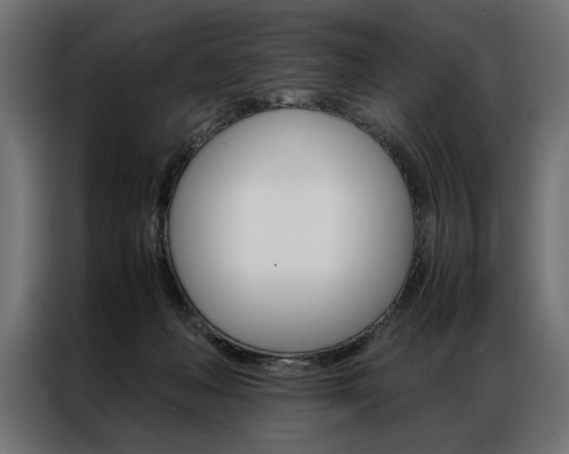 X0000086940222200704161042