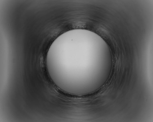 X0000086940224200704161042