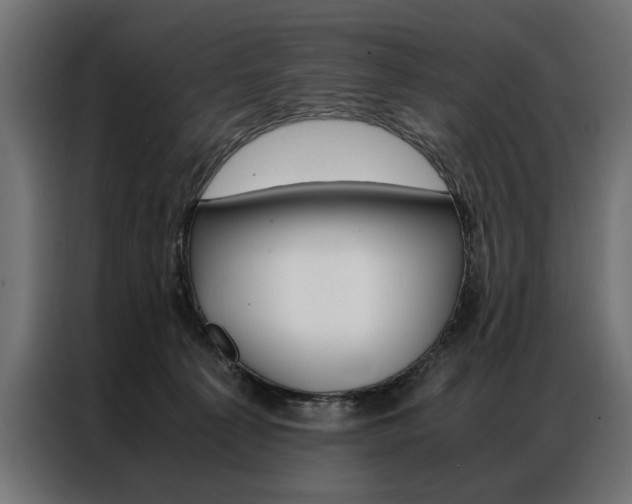 X0000086940225200704161042