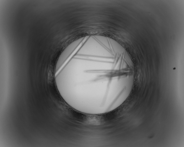 X0000086940226200704161042