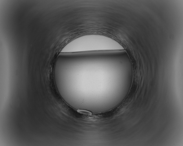 X0000086940229200704161042