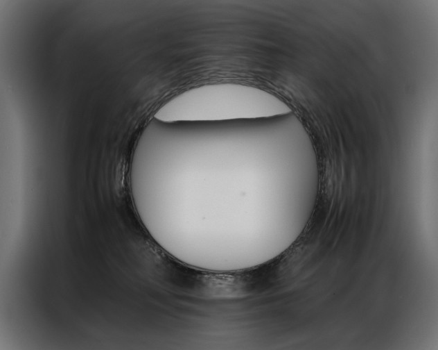X0000086940230200704161042