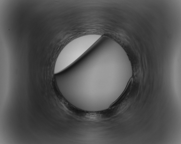 X0000086940231200704161042