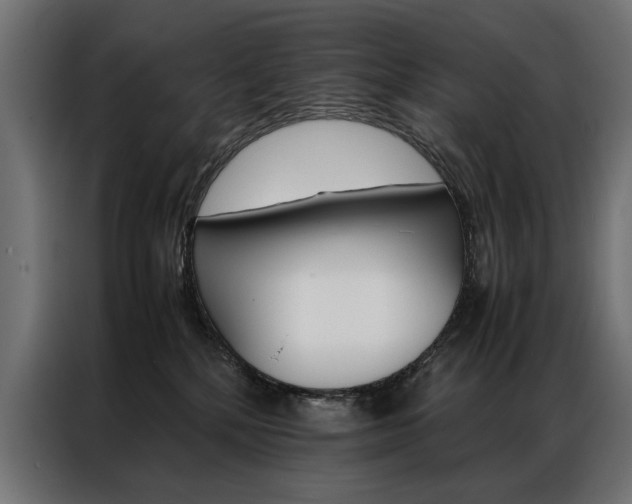 X0000086940232200704161042
