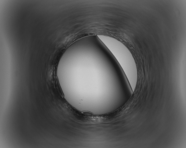 X0000086940233200704161042