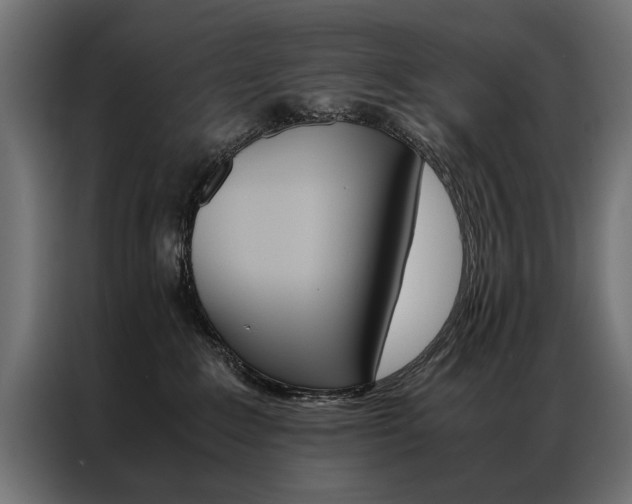 X0000086940235200704161042