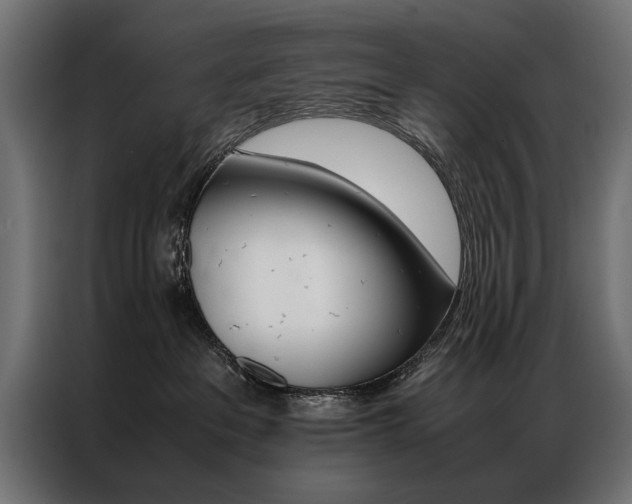 X0000086940237200704161042
