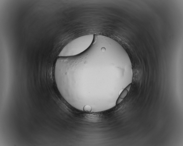 X0000086940238200704161042