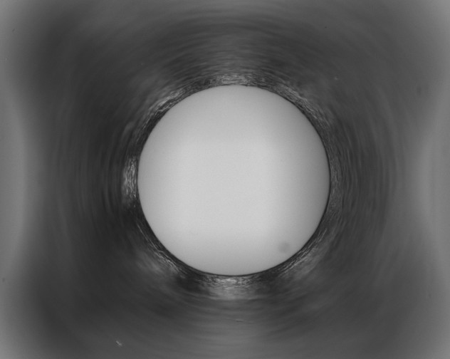 X0000086940240200704161042