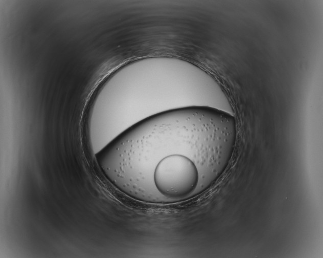 X0000086940242200704161041
