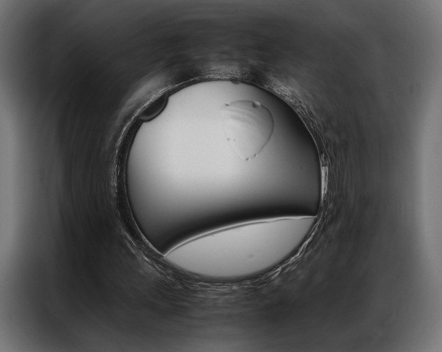 X0000086940243200704161041