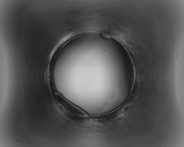 X0000086940244200704161041