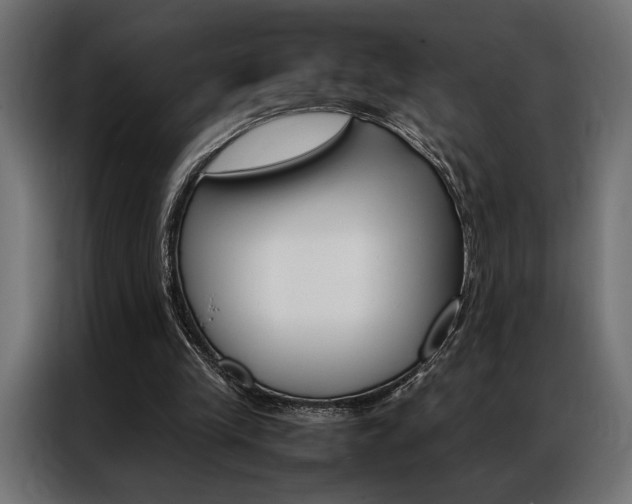 X0000086940245200704161041